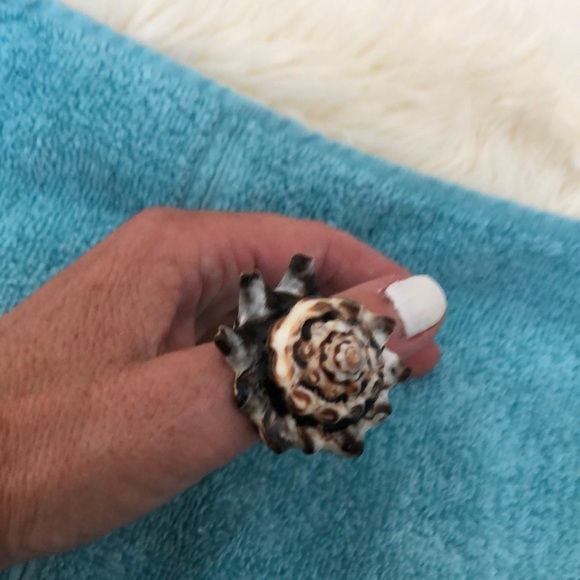 Shell Ring - Picture 7 of 7